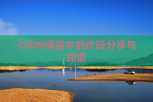 CSDN博客中的代码分享与探索